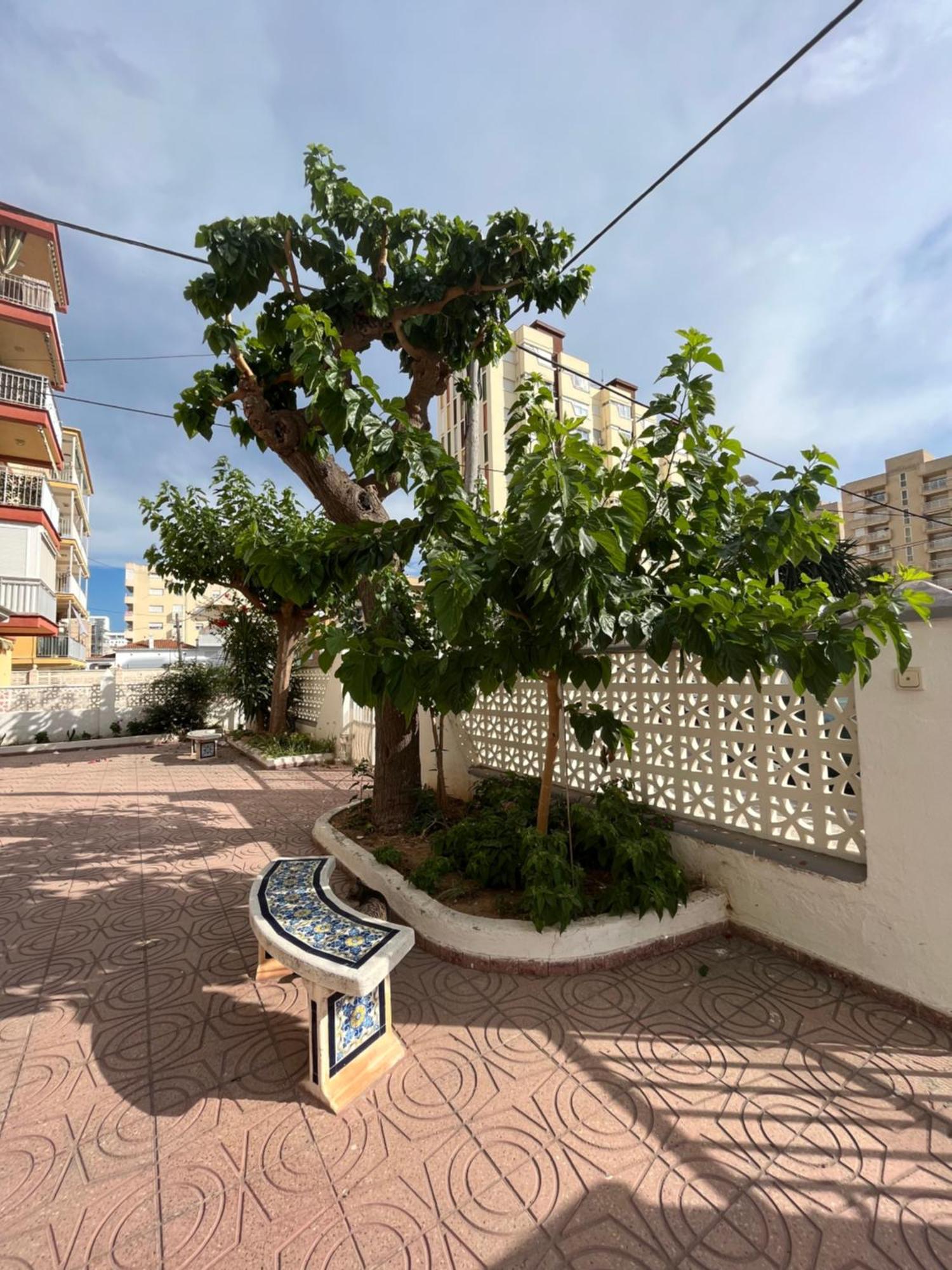 Rincon De Maria- Segunda Linea De Playa-Ganador Traveller Awards 2025 Apartment Playa de Gandia Екстериор снимка