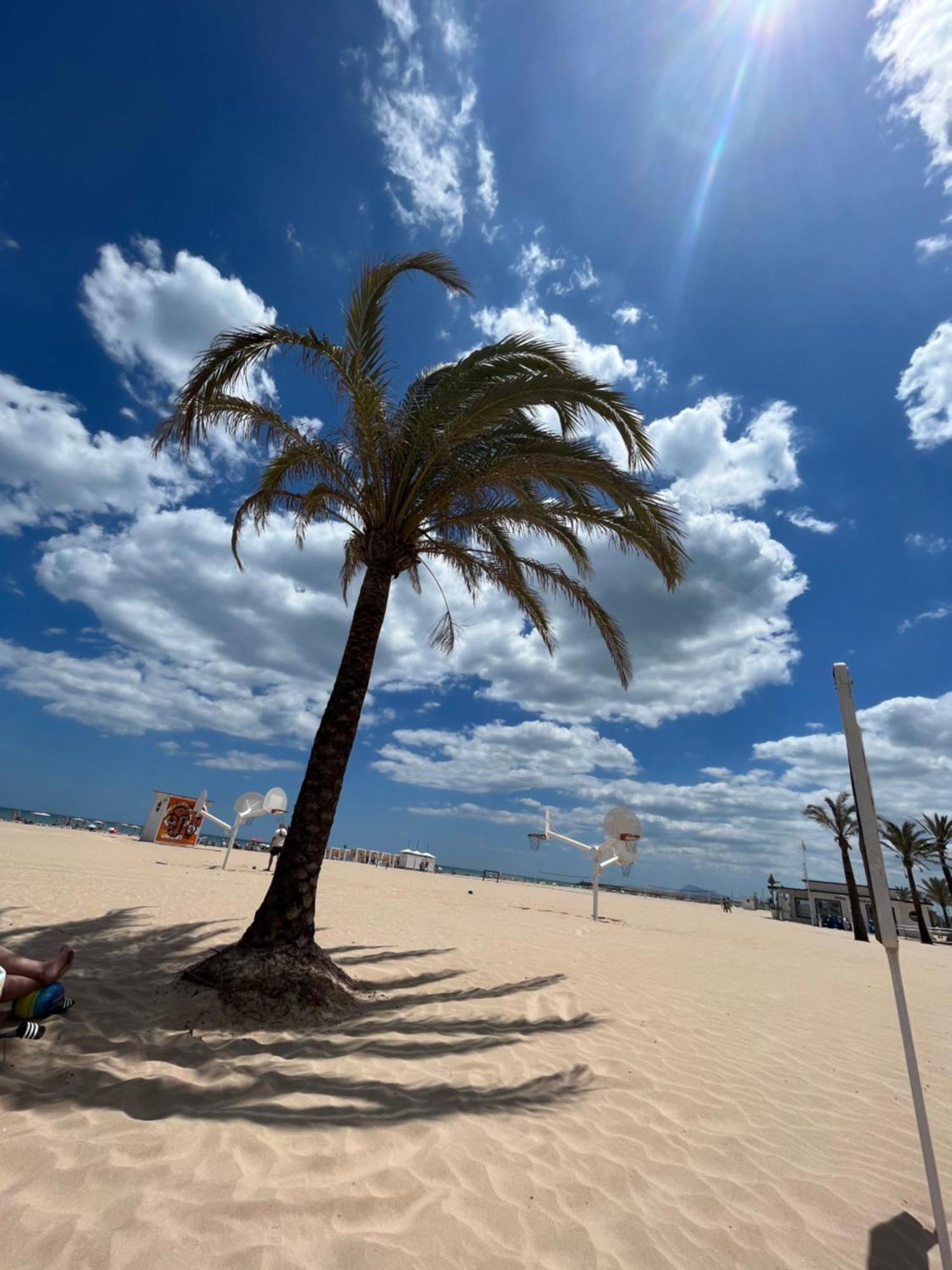 Rincon De Maria- Segunda Linea De Playa-Ganador Traveller Awards 2025 Apartment Playa de Gandia Екстериор снимка
